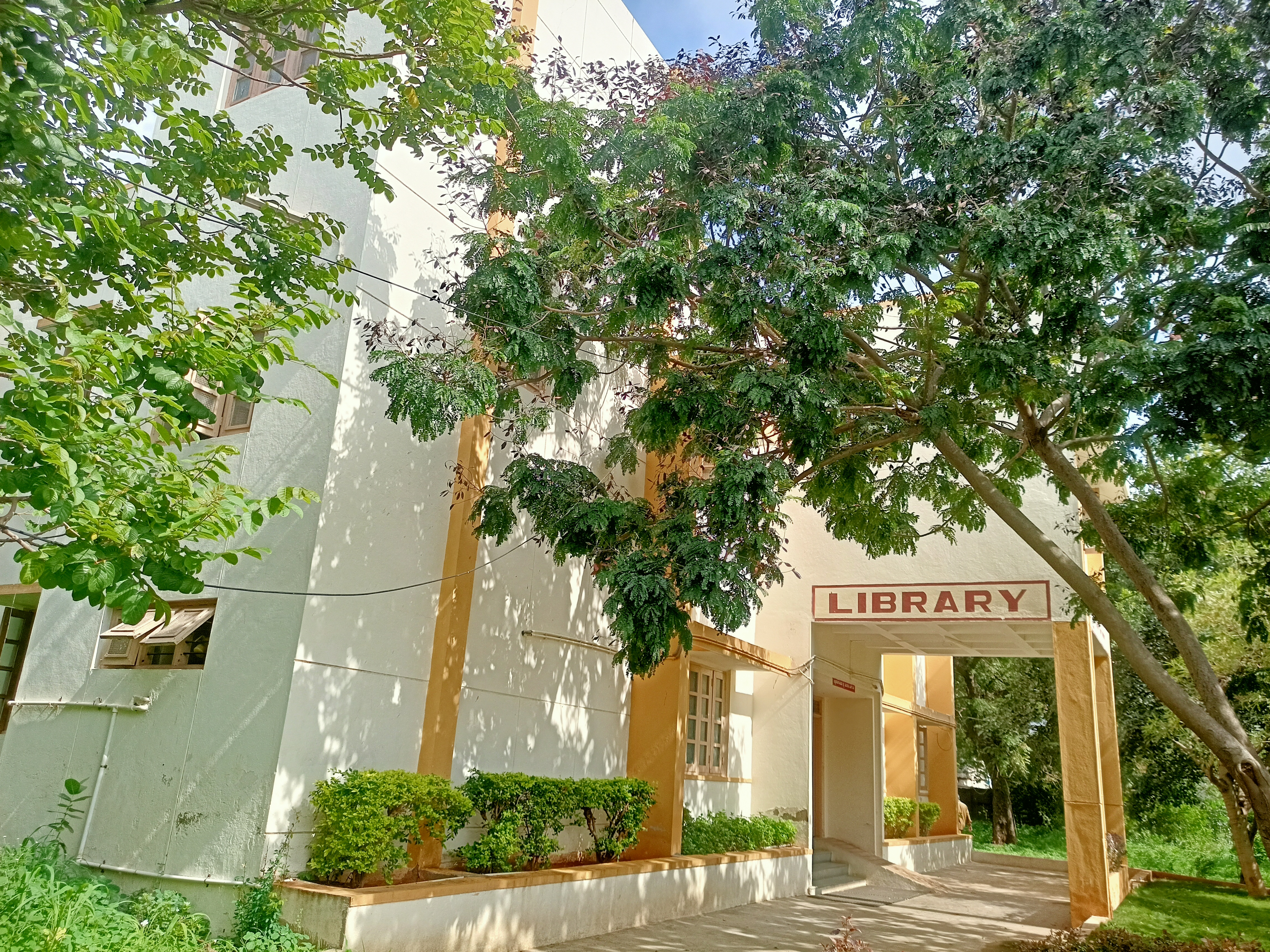 Library image